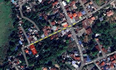 Lot for sale at Fajardo st. Aduas Centro, Cabanatuan City near 7/11 main road