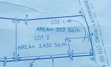 Lot Along the Road For Sale in Tabon, San Isidro, Nueva Ecija