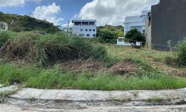 Pueblo de Panay Orchard Lane Subdivision