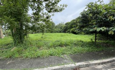 FOR SALE: Prime Residential Lots at Stonecrest Village, San Pedro, Laguna
