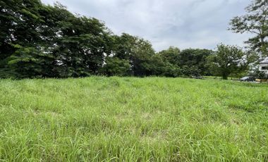 FOR SALE: Prime Residential Lots at Stonecrest Village, San Pedro, Laguna