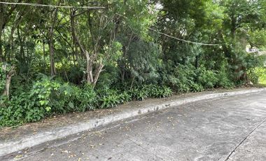 FOR SALE: Prime Residential Lots at Stonecrest Village, San Pedro, Laguna
