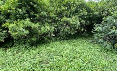 FOR SALE: Prime Residential Lots at Stonecrest Village, San Pedro, Laguna