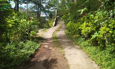 700 Square Meters Lot in Baguio City