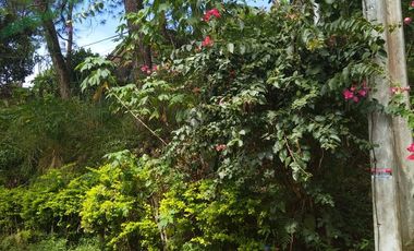 700 Square Meters Lot in Baguio City