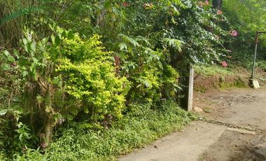 700 Square Meters Lot in Baguio City