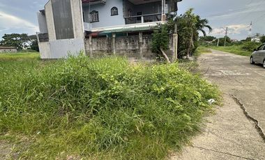 lot for sale in Kapitan Pepe Sub. Cabanatuan City, walking distance to City Hall