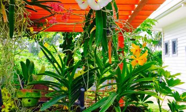 House and lot For sale at Hacienda Escudero Tiaong Quezon
