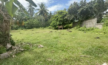 Land For Sale in Valencia