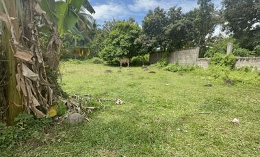 Land For Sale in Valencia