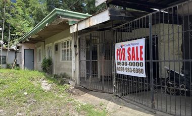 BIG Lot!!! in Manuela Subd., Las Piñas