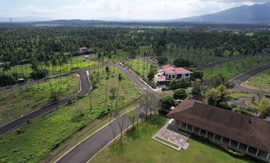 Residential Lot Sale at Hacienda Escudero Tiaong Quezon, Villa Escudero