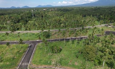 Residential Lot Sale at Hacienda Escudero Tiaong Quezon, Villa Escudero