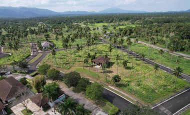 Residential Lot Sale at Hacienda Escudero Tiaong Quezon, Villa Escudero