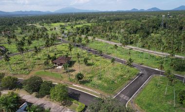 Residential Lot Sale at Hacienda Escudero Tiaong Quezon, Villa Escudero