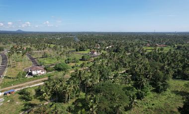 Residential Lot Sale at Hacienda Escudero Tiaong Quezon, Villa Escudero