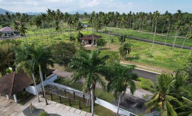 Residential Lot Sale at Hacienda Escudero Tiaong Quezon, Villa Escudero
