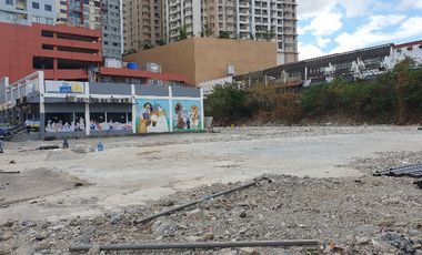 Kapitolyo big cut commercial lot for lease