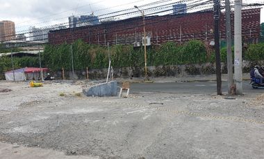 Kapitolyo big cut commercial lot for lease