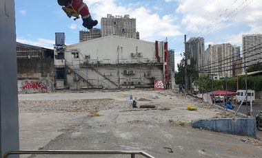 Kapitolyo big cut commercial lot for lease