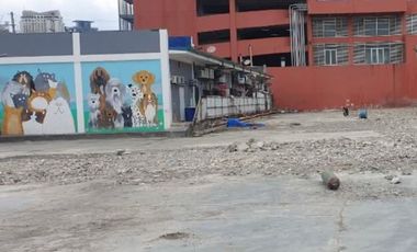 Business wise location 3000sqm commercial lot for rent