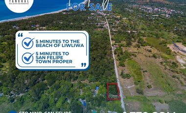 1,770 SQM IN SAN FELIPE, ZAMBALES (SURFING CAPITAL OF CENTRAL LUZON) FOR SALE