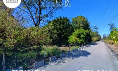 1,770 SQM IN SAN FELIPE, ZAMBALES (SURFING CAPITAL OF CENTRAL LUZON) FOR SALE