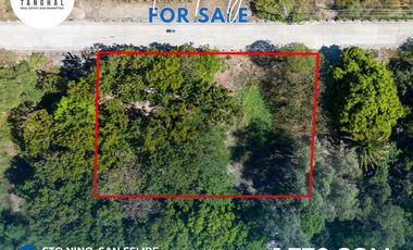 1,770 SQM IN SAN FELIPE, ZAMBALES (SURFING CAPITAL OF CENTRAL LUZON) FOR SALE