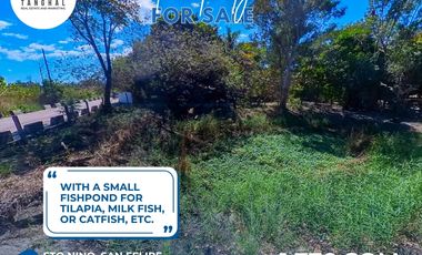 1,770 SQM IN SAN FELIPE, ZAMBALES (SURFING CAPITAL OF CENTRAL LUZON) FOR SALE