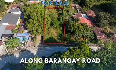 Residential Corner Lot For Sale In Botolan, Zambales