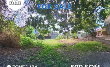 Prime Residential Lot in Iba Town Proper For Sale