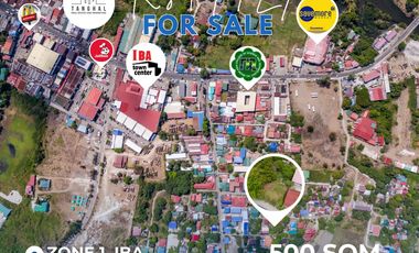 Prime Residential Lot in Iba Town Proper For Sale