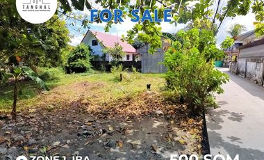 Prime Residential Lot in Iba Town Proper For Sale