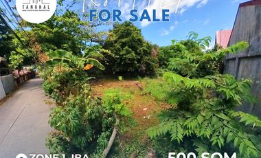 Prime Residential Lot in Iba Town Proper For Sale