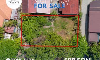 Prime Residential Lot in Iba Town Proper For Sale