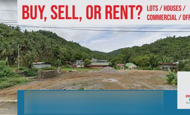 Commercial Lot Along Maharlika Hi Way - Malinao Ilaya, Atimonan Quezon