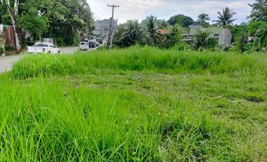 577sqm clean title commercial lot in Dampas Tagbilaran City along concrete road
