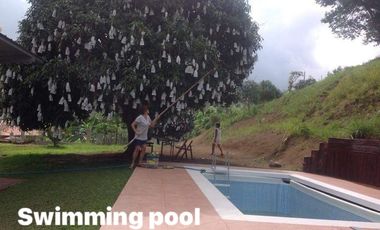 2BR Rest house with pool in developed farm property, Batangas City