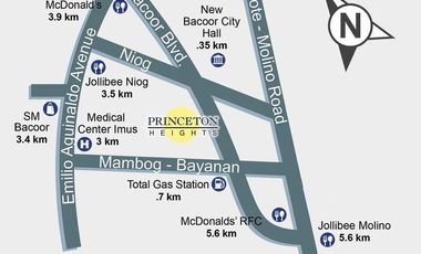 Residential Lot for Sale in Princeton Heights Phase 3, Molino Bacoor Cavite