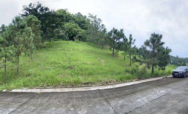 Residential Plot for sale in Laguna, Calamba City