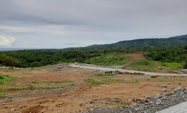 For Sale: 100 sqm Inner Lot in Amica North Residences Phase 2, Bagac, Bataan