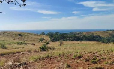 For Sale 80 sqm Overlooking Residential Lot in Brgy. Binuangan, Bagac Bataan at 6k per sqm