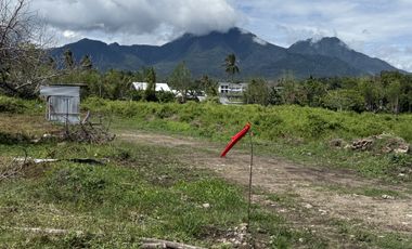 Beautiful Mountain and Sea View Lots For Sale In Dauin