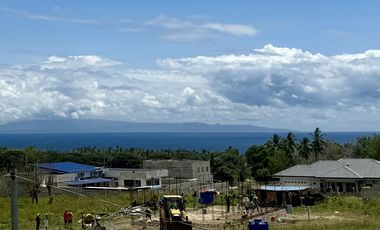 Beautiful Mountain and Sea View Lots For Sale In Dauin