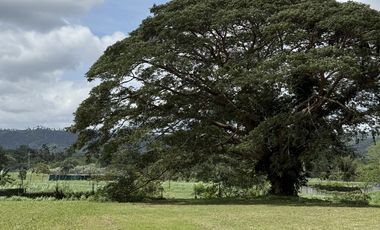 Residential Lot for Sale at Montecito Nuvali