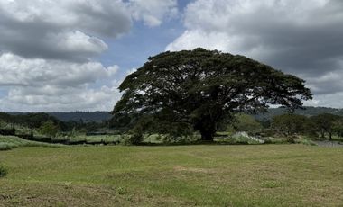 Residential Lot for Sale at Montecito Nuvali