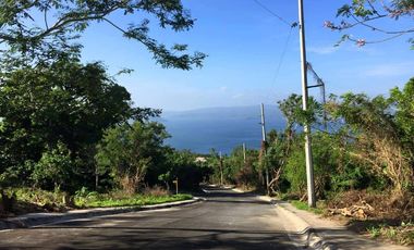 Tagaytay Vacant Lot for Sale overlooking Palm Ridge Pointe Talisay 5000 sqm