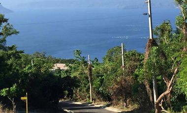 Tagaytay Vacant Lot for Sale overlooking Palm Ridge Pointe Talisay 5000 sqm