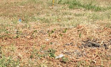 Residential Plot for sale in Metro Manila, Muntinlupa City