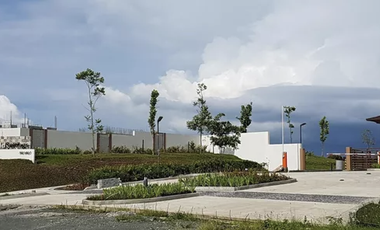 Lot For Sale Southfield Settings Nuvali near Solenad Miriam College, Calamba